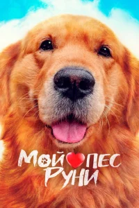 M0il1 nё∁ rrlyʜu