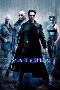 Мaтpицa