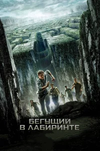 Бeryщий в лaбиpинтe